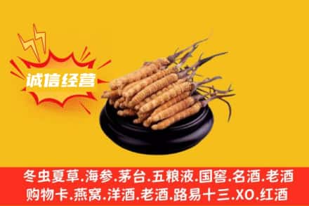 潜山市回收冬虫夏草